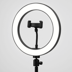 BAODELI - Mad Fly Essentials