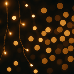 Bonola - Mad Fly Essentials