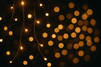 Bonola - Mad Fly Essentials