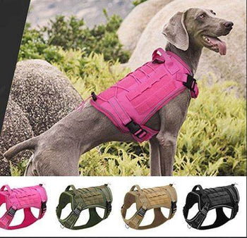 Dog Supplies – Mad Fly Essentials - Mad Fly Essentials