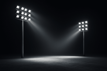 DSELCHUN - Mad Fly Essentials