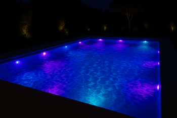 Everso - Mad Fly Essentials