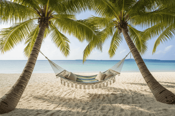 Hammock Collection - Mad Fly Essentials