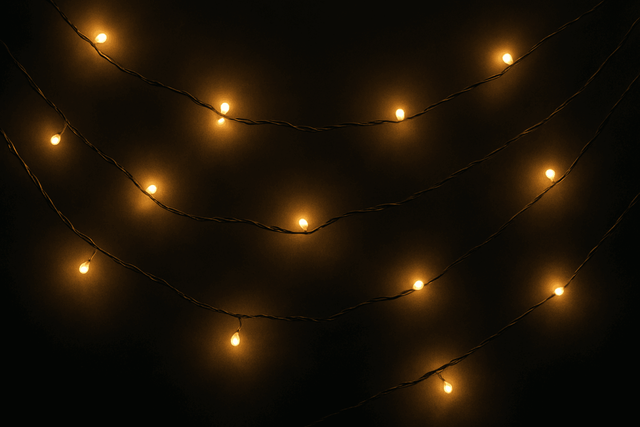 KHTO - Mad Fly Essentials