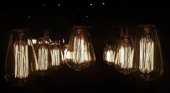 LED Bulbs Plugs - Mad Fly Essentials - Mad Fly Essentials