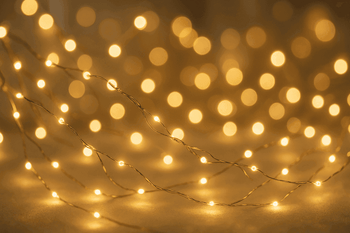 LED FAIRY - Mad Fly Essentials