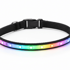 LED Pet Collar Collection - Mad Fly Essentials