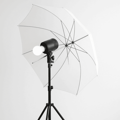 LEDPChoice - Mad Fly Essentials