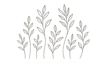 NICELET - Mad Fly Essentials