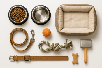 NICREW - Mad Fly Essentials