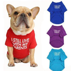 Pet Apparel – Mad Fly Essentials - Mad Fly Essentials