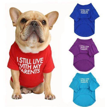 Pet Apparel – Mad Fly Essentials - Mad Fly Essentials