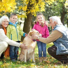 Pet Care Essentials - Mad Fly Essentials