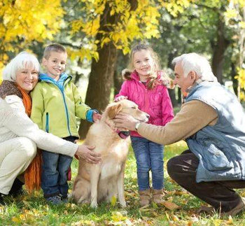 Pet Care Essentials - Mad Fly Essentials