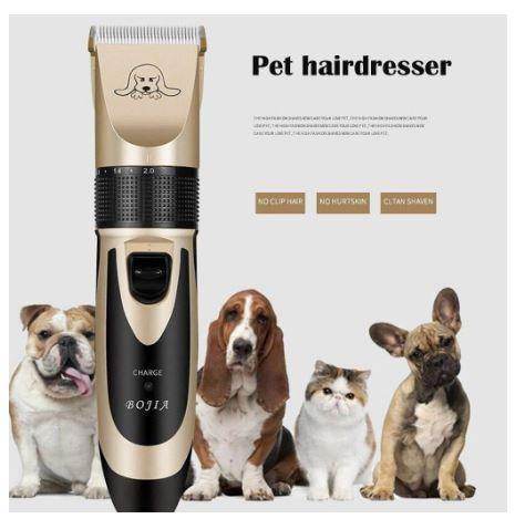 Pets Care Products - Pet Carrier - Mad Fly Essentials