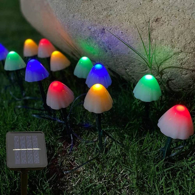 RGB LED Lighting - Mad Fly Essentials