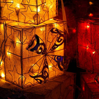 Seasonal LED Lighting - Mad Fly Essentials