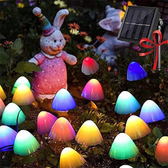 Solar LED Lighting - Mad Fly Essentials