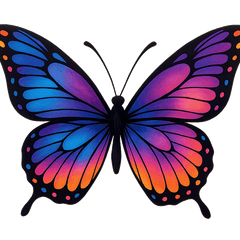 Wall Essentials - Mad Fly Essentials