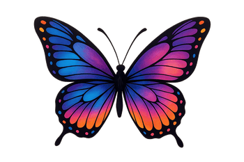 Wall Essentials - Mad Fly Essentials