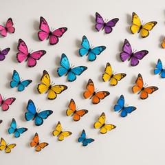 WALLMG - Mad Fly Essentials