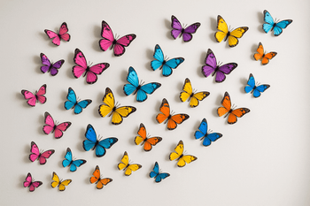 WALLMG - Mad Fly Essentials