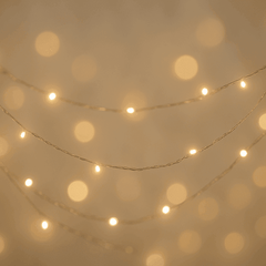 XR Partyday - Mad Fly Essentials