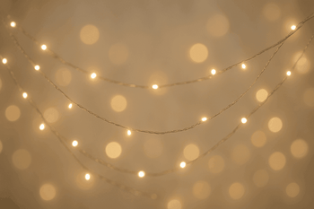 XR Partyday - Mad Fly Essentials