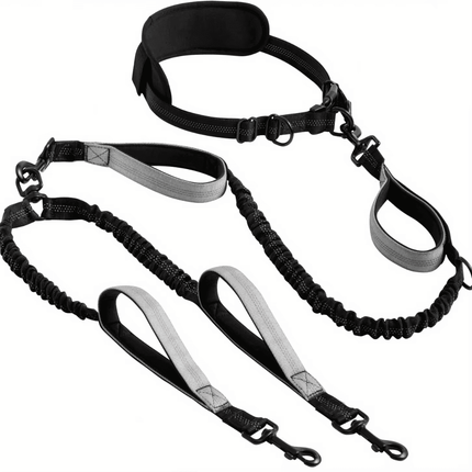 2in1 Reflective Double No Pull Dog Leash Pet Essentials - Pet Essentials - PETLOVEY - Mad Fly Essentials