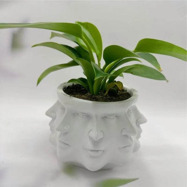3D Multi Face Planter Garden Decor - Mad Fly Essentials