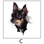 C
