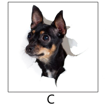 3D Wall Sticker Chihuahuas Dog Fridge Decal - 3D Wall Sticker - ZOOYOO - Mad Fly Essentials