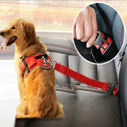 Dog Collar Safety Harness Pet Essentials – Mad Fly Essentials