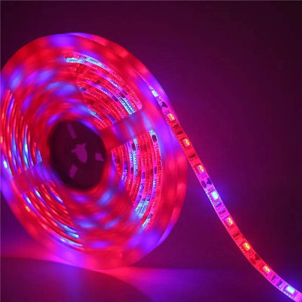 Grow Full SMD5050 Strip LED Fairy Light - Mad Fly Essentials
