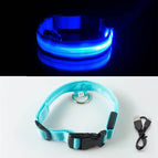 Blue USB Charging