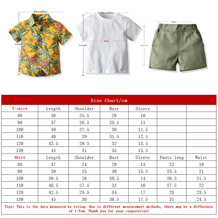Baby Boys Tropical Paradise Floral Shirt Shorts 3pc Set