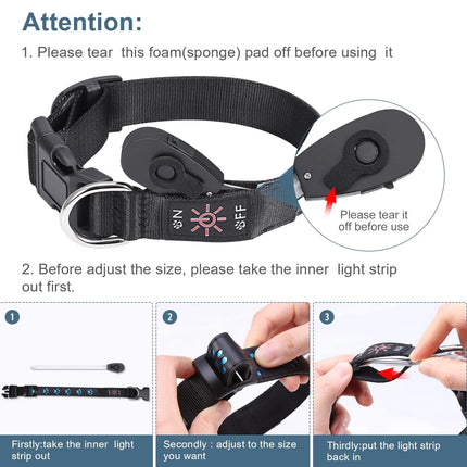 LED Pet Collar 7Mode USB Rechargeable Dog Collar - LED Pet Collar - JtoeB - Mad Fly Essentials