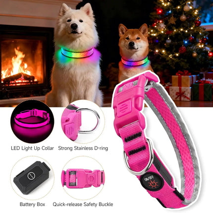 LED Pet Collar USB Rechargeable Pet Adjustable Cat Collar - LED Pet Collar - Kajipet - Mad Fly Essentials