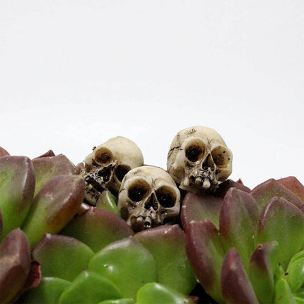 Gothic Skull Mushroom Garden Decor Sets - Mad Fly Essentials