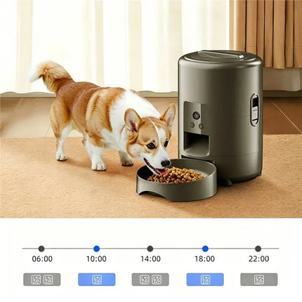 Pet Essentials Cat Dog WIfi Auto Pet Feeder Dog Supplies - Pet Essentials - Zyfeeder - Mad Fly Essentials