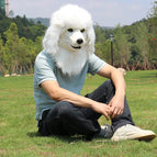 Poodle