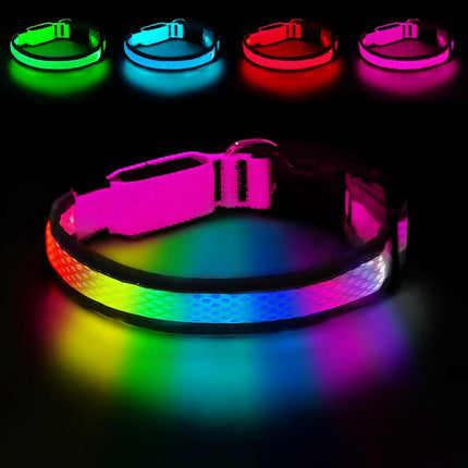 LED Pet Collar USB Rechargeable Pet Adjustable Cat Collar - LED Pet Collar - Kajipet - Mad Fly Essentials
