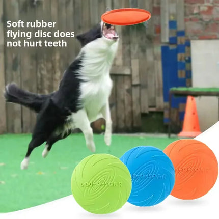 Pet Essentials Interactive Dog Puppy Training Disks - Pet Essentials - Dog-o-soar - Mad Fly Essentials