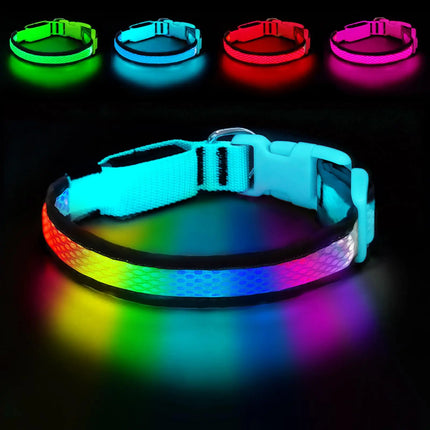 LED Pet Collar USB Rechargeable Pet Adjustable Cat Collar - LED Pet Collar - Kajipet - Mad Fly Essentials