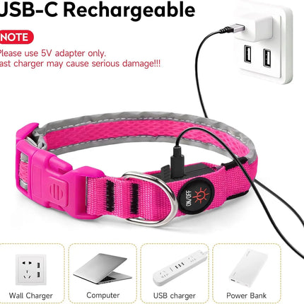 LED Pet Collar USB Rechargeable Pet Adjustable Cat Collar - LED Pet Collar - Kajipet - Mad Fly Essentials