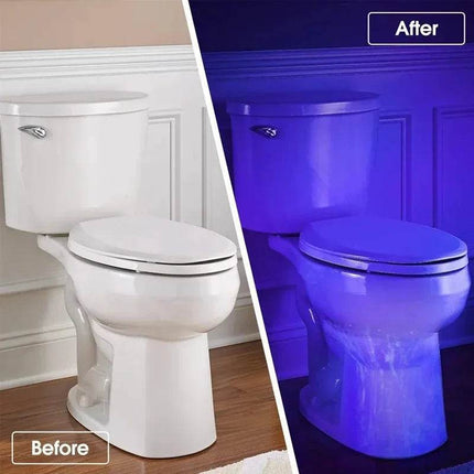 UV Portable 365/395nm Black LED Mini Flashlight - Mad Fly Essentials