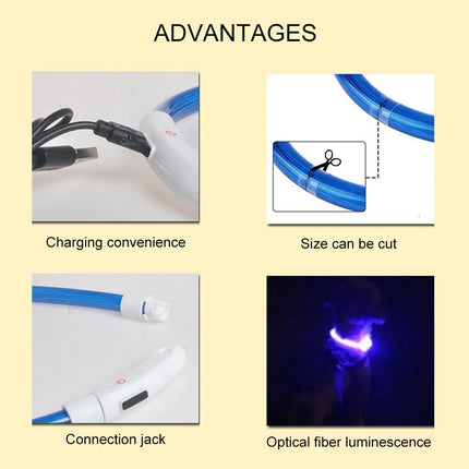 LED Pet Collar Luminous USB 3Mode-Loss Prevention Dog Collar - LED Pet Collar - Henkelion - Mad Fly Essentials