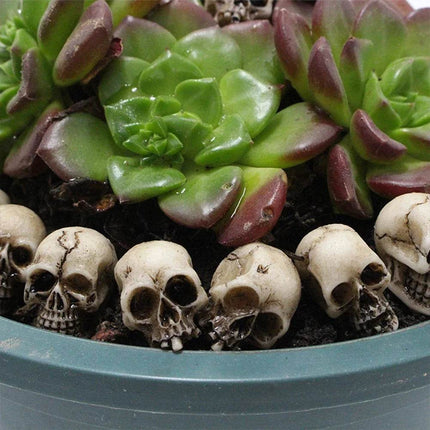 Gothic Skull Mushroom Garden Decor Sets - Mad Fly Essentials