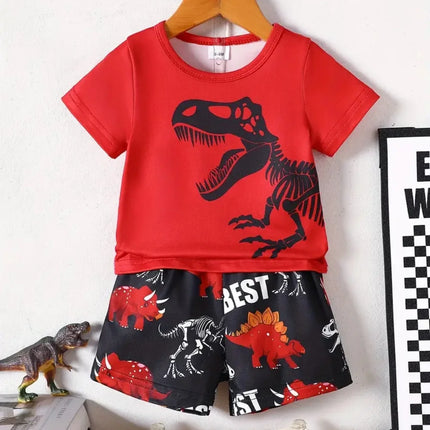 Tracksuit Boy Dinosaur Retro O-Neck Tracksuit Set - Tracksuit - Nifineo - Mad Fly Essentials