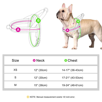Pet Essentials Dog Collar Lead Vehicle Seatbelt Safety Harness - Pet Essentials - Idepet - Mad Fly Essentials